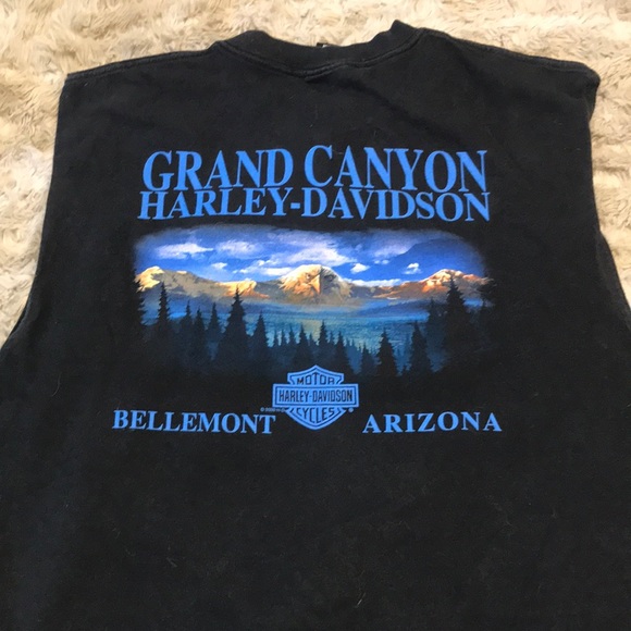 🧡VTG HARLEY GRAND CANYON 🖤 - Picture 3 of 7